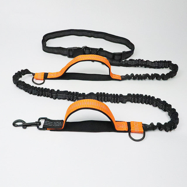 Unleash Adventure: The Pet Adjustable Jogging Harness Leash